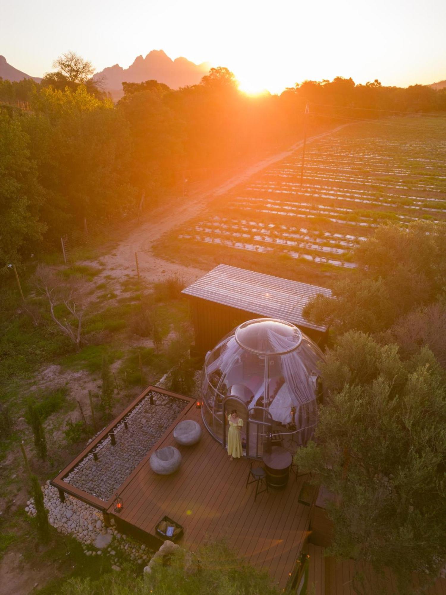The Vino Dome By Once Upon A Dome Franschhoek Buitenkant foto